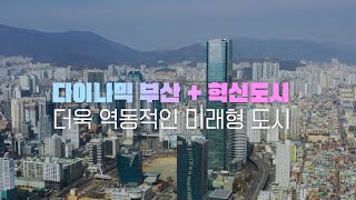 다이나믹 부산 혁신도시 l 부산혁신도시  l 부산광역시