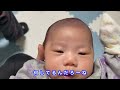 ＃11 技がひとつ増えました。『バンッ』を覚えたパグの子犬のラムちゃん