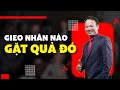 Gieo nhân nào gặt quả đó | Tiến Sĩ Tô Nhật