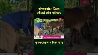 বান্দরবানে জৈব কেঁচো সার বানিয়ে কৃষকদের লাখ টাকা আয় | NTV News #Shorts #shortvideo  #shortsfeed