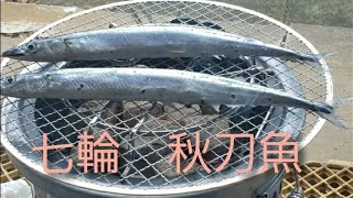 【七輪　秋刀魚】一人七輪　田舎猫　サンマ　一人バーベキュー