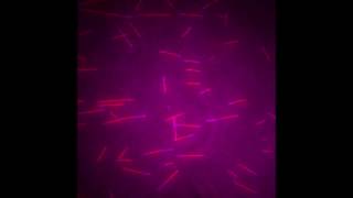 Labeled Tubulin Alexa Fluor 647 | PurSolutions