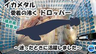 【イカメタル】妙に活躍した“愛着が湧くドロッパー”／in福井県敦賀沖