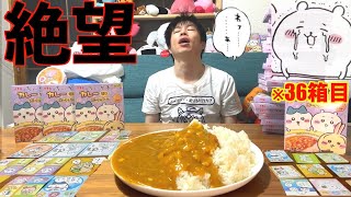 【大食い】ちいかわカレーのシールコンプするまで限界食いリベンジするも一生ダブり続けて再び絶望する漢【高カロリー】【激熱】【モッパン】大胃王 BigEater Challenge