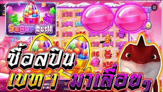 Sugar Rush 1000  [Pragmatic Play] - เทคนิคหาโบ ซื้อสปินเบท 1