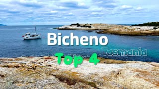 Bicheno Tasmania  Australia – 4 Must See Attractions