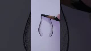 Pencil Drawing that you may wonder, its a gorilla nose