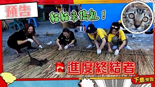 綜藝玩很大 EP412 施工進度大落後 竟然是因為貓貓來搗亂！看你可愛就原諒你啦~｜預告