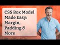 CSS Box Model Made Easy: Margin, Padding & More