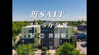 卡尔加里sait附近22.5万公寓