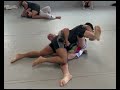 Solitude. A 37 Year Old Black Belt's Jiu Jitsu Highlight.