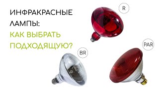 Инфракрасные лампы: как выбрать подходящую?