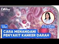 Cara Menangani Kanker Darah | Bincang Sehati