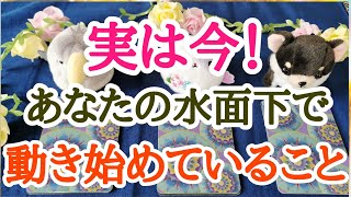 タロット占い✨オラクルカードリーディング💌🤗実は今！あなたの水面下で動き出していること😍🍀ノーカットなので対面鑑定のようにリーディング時におりてきた言葉をそのまま全てお伝えしています🤗✨