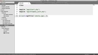 Synapseindia php development Dropbox With PHP Downloading Files