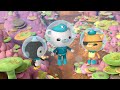 @octonauts 🪸 coral reef sea adventures 🌊 3 hours full episodes marathon