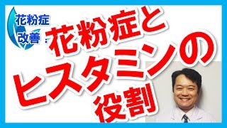 花粉症 ヒスタミンの大切な役割と効果の理由 メカニズムとは？