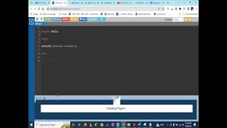 Pascal Programing | Applying comment