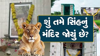 Lion Temple: આ છે વિશ્વનું એકમાત્ર સિંહ મંદિર, અહીં રોજ ગવાય છે સિંહ ચાલીસા...