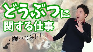 【新企画】動物・ペットに関する仕事を調べてみた！雑談形式で楽しく紹介！