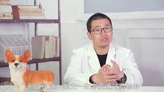 貓后腿無力能自愈嗎