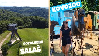 Výlety po Česku - rozhledna Salaš a Brdo, Kovozoo ve Starém městě