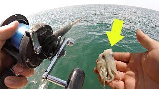 I Caught a BUCKET LIST Fish w/ NASTY Bait!!!