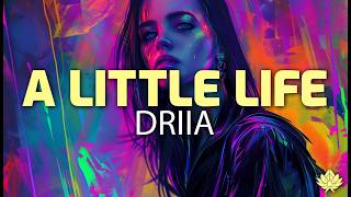 DRIIA - A Little Life (Lyrics)