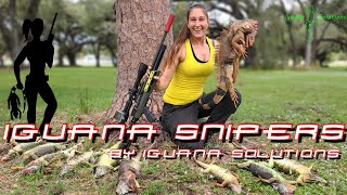 Iguana Snipers #83: The Giving Tree...an entire iguana hunt in a single tree!