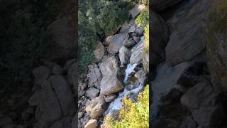 View from Munnar Lakkam Falls #shortfeed #munnar #trending #falls