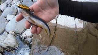 ハンドメイドルアーで挑戦【渓流釣り】