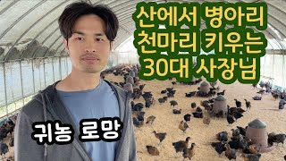 30대 귀농 후 산에서 토종닭 병아리 천마리 키우는 사장님 방목 토종닭 직거래