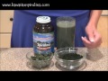 all about spirulina