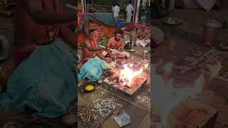 Aani Thirumanjana Festival 2022 vasthu santhi Homam Sri Natarajar Temple Chidambaram