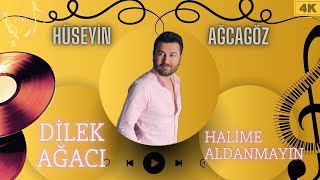 Hüseyin Ağcagöz - Dilek Ağacı \u0026 Halime Aldanmayın \u0026 Benim Sana Olan Aşkım { Lesli Ton }