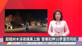 超载树木深夜摸黑上路  警察扣押10罗里罚司机【2025.01.15 八度空间华语新闻】