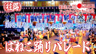 「はねこ踊りパレード」往路 - ものうふれあい祭 はねこ踊りフェスティバルin桃生 - 宮城県石巻市 2024/09/14