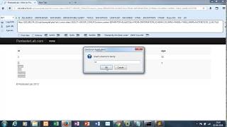 Web For Pentester SQL Injection Example 4 Solution
