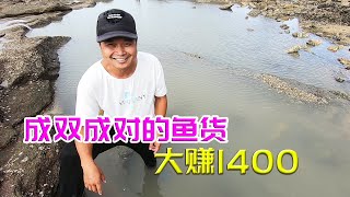 80斤猪血撒600平巨坑，竟引来成双成对的鱼货狂窜不停，大赚1400