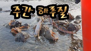 How to catch octopus,Octopus,漁,章魚捕撈,如何捕捉章魚,ナクジャさん,タコの持ち方