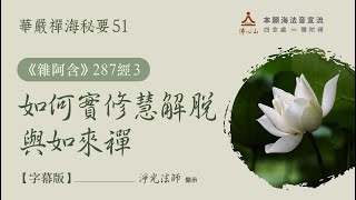 【華嚴經禪海秘要51】《雜阿含》287經(3)：如何實修慧解脫與如來禪【字幕版】__淨光法師開示