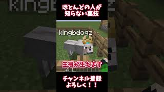 【マイクラ】ほとんどの人が知らない「名札裏ワザ」について紹介！！ 　#shorts  #マイクラ #minecraft