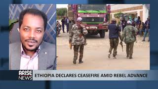 Ethiopia Announces Ceasefire as Rebels in Tigray Seize Capital Mekele - Dr. Awol Allo