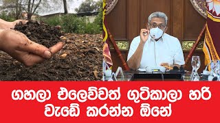 ගහලා එලෙව්වත් ගුටිකාලා හරි වැඩේ කරන්න ඕනේ | President Gotabhaya Rajapaksha