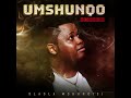 Dladla Mshunqisi Feat.Sizwe Mdlalose, Assiye Bongzin,Dj Tira - Uphetheni Esandleni (Official Audio)