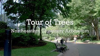 Tour of Trees