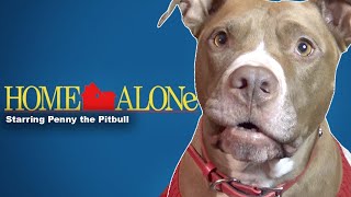 Penny is left Home Alone | Robby and Penny