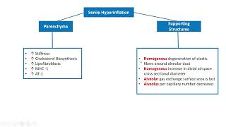 Geriatrics: Aging -related changes in Respiratory System