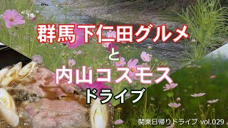 下仁田グルメ(コロムビア・一番)と内山コスモス(神津牧場・コスモス街道) ドライブ (群馬県下仁田町と長野県佐久市)【関東日帰りドライブ vol.029】