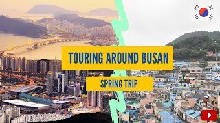 Beautiful Busan - Visiting Koreas Most Beautiful Temple | Korea Travel Vlog 2021